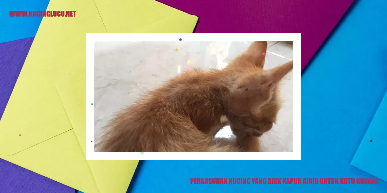 Pengasuhan Kucing yang Baik kapur ajaib untuk kutu kucing