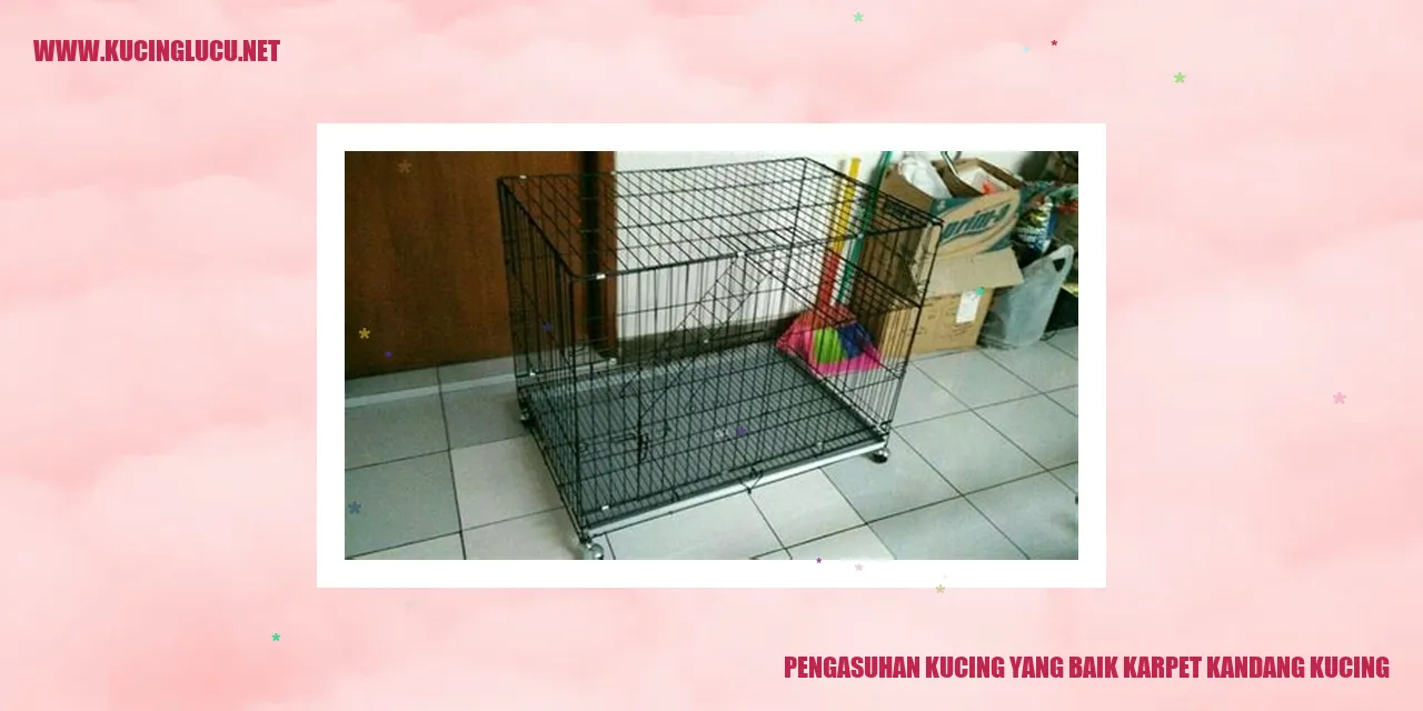 Kucing di Karpet Kandang Kucing