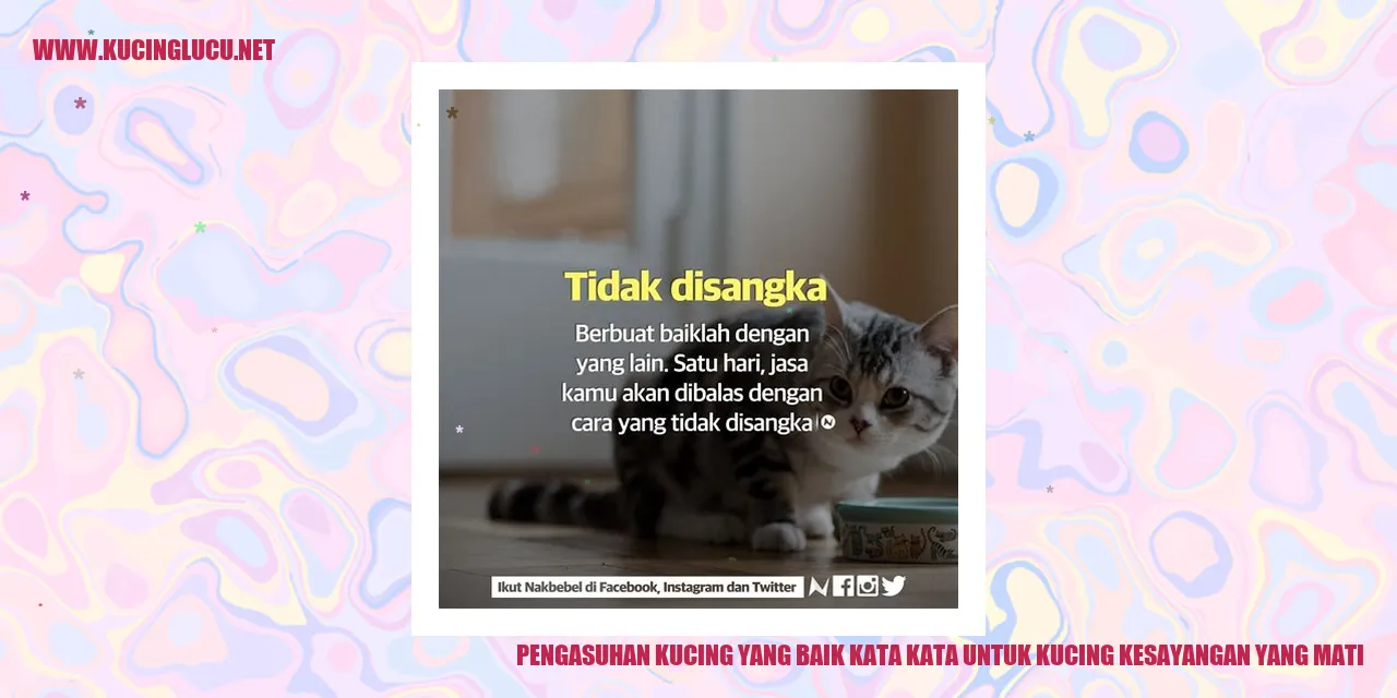 Kucing kesayangan yang mati