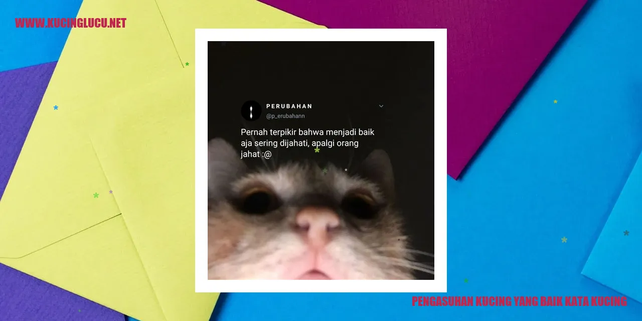 Pengasuhan Kucing yang Baik kata Kucing