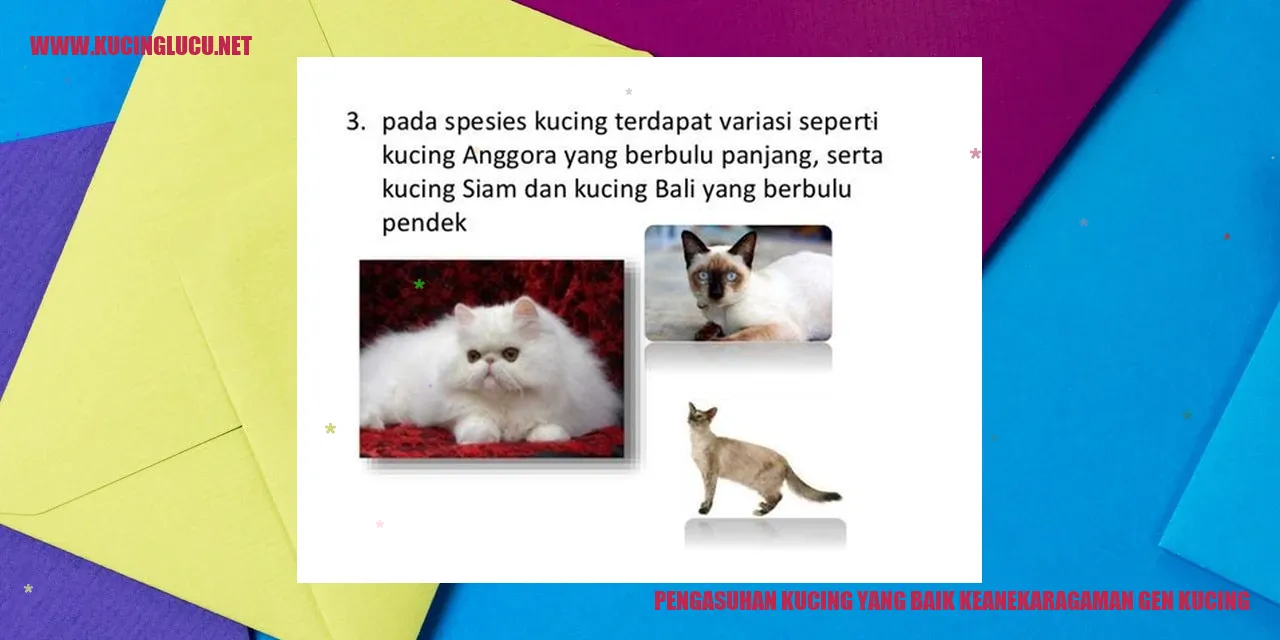 Keberagaman Gen Kucing