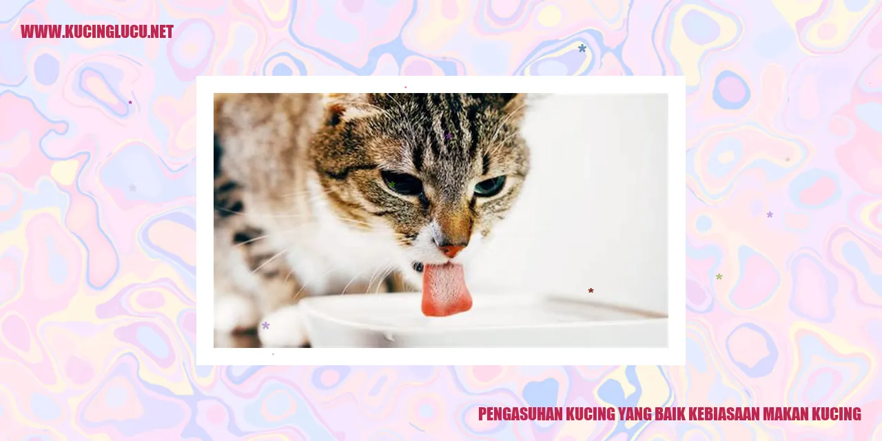 Kucing Makan