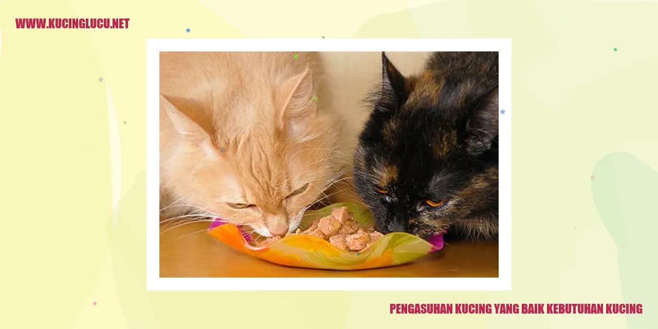 gambar kucing