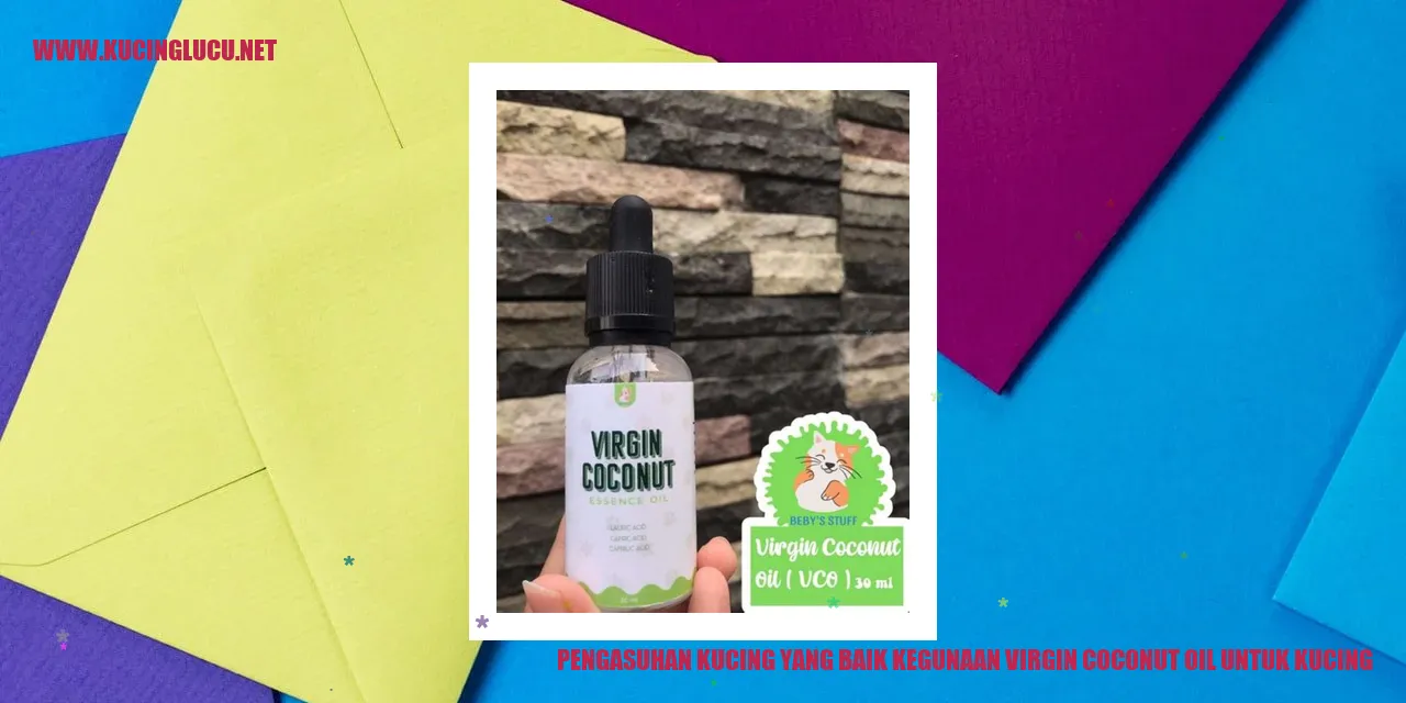 Gambar kucing dengan botol Virgin Coconut Oil
