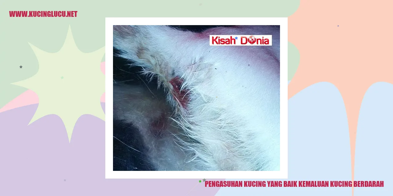 Kucing berdarah