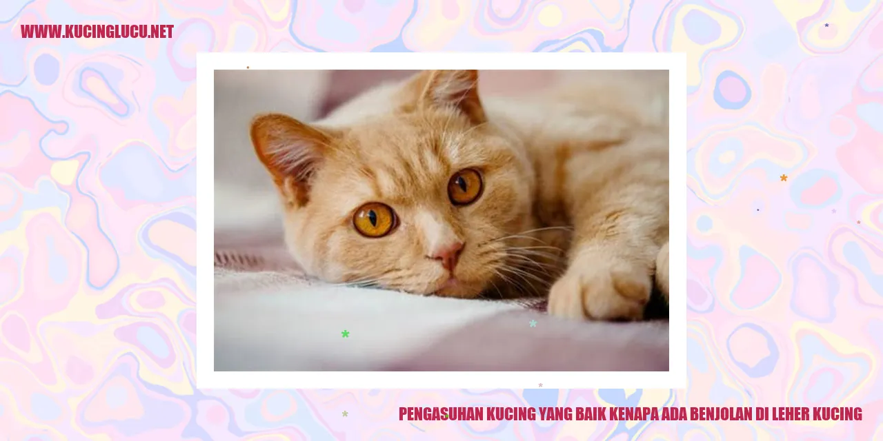 Benjolan di Leher Kucing