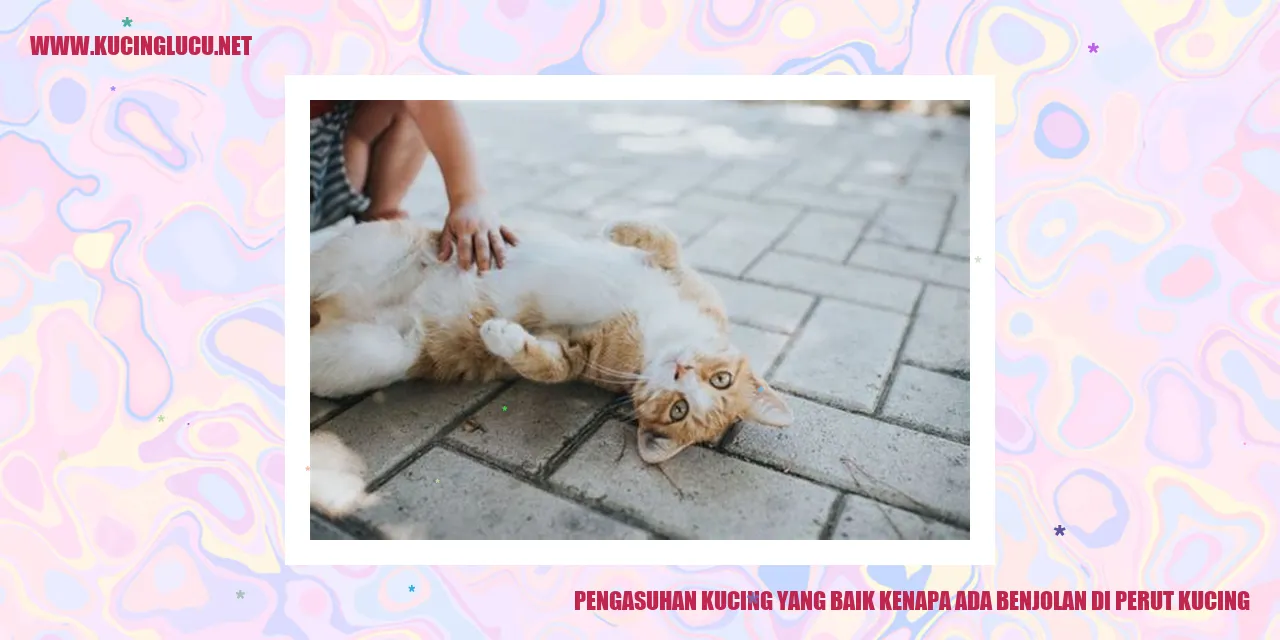 Kucing dengan Benjolan di Perut