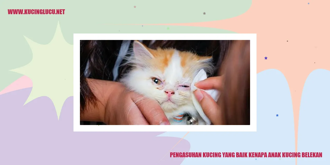 Anak Kucing Belekan