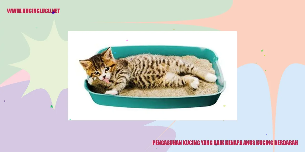 Kucing Lucu