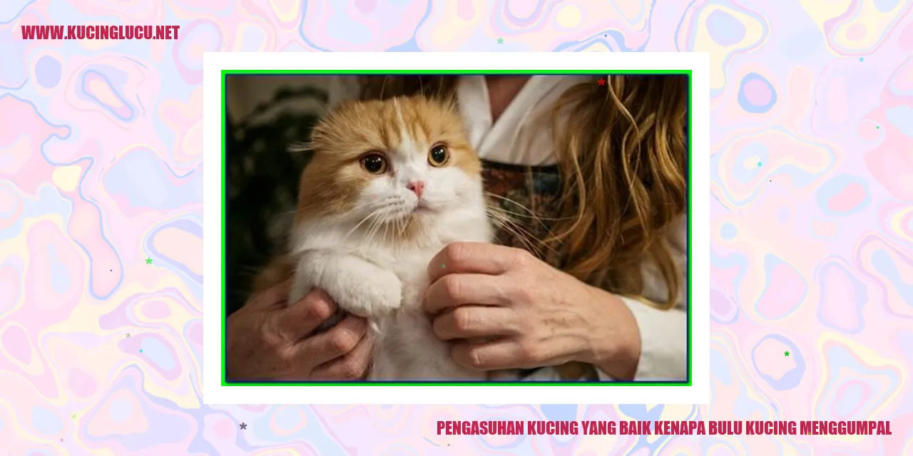 Ilustrasi kucing dengan bulu yang menggumpal