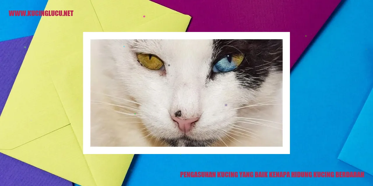 Ilustrasi Kucing
