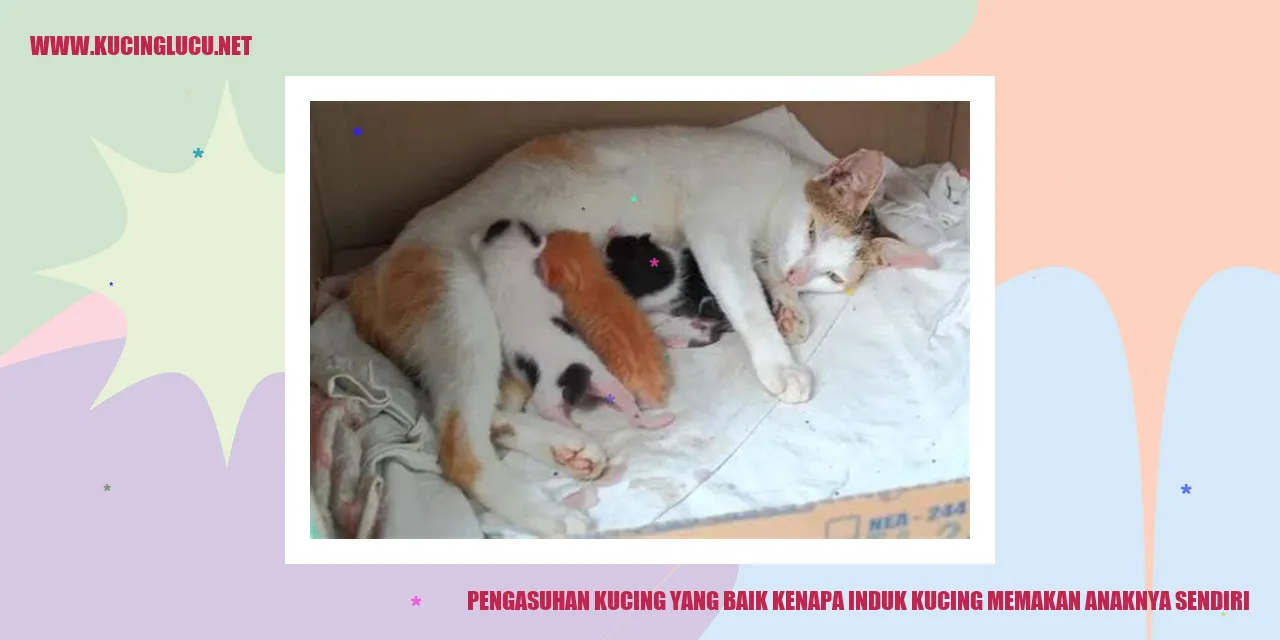 Kucing dengan Anaknya