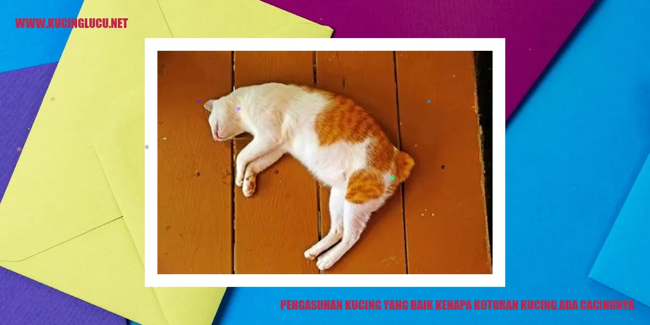 Gambar seekor kucing yang sedang bermain
