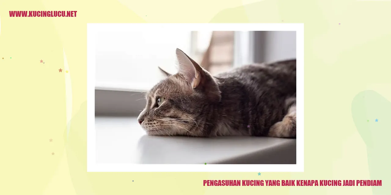 Pengasuhan Kucing yang Baik kenapa kucing jadi pendiam