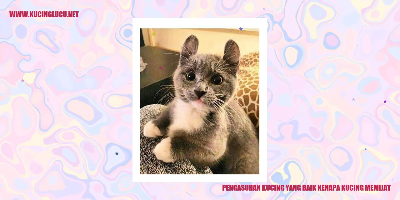 Kucing yang Memijat