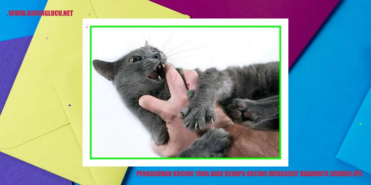 Kucing Menggigit Badannya Sendiri