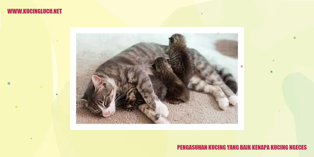 Illustrasi Kucing Merasa Hangat