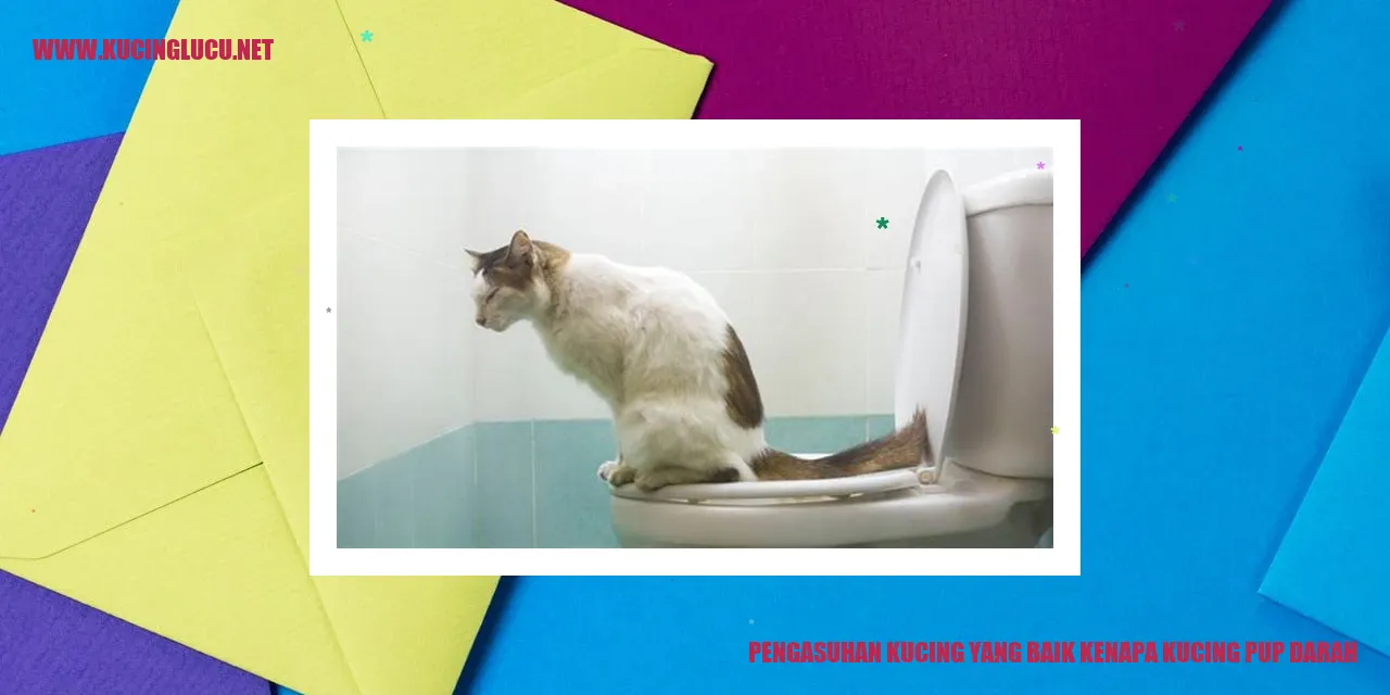 Pengasuhan Kucing yang Baik
