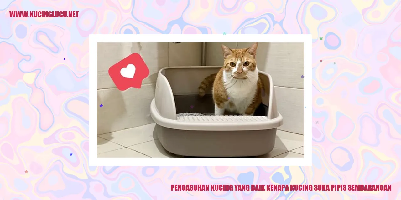 Kucing Menghela Gambar