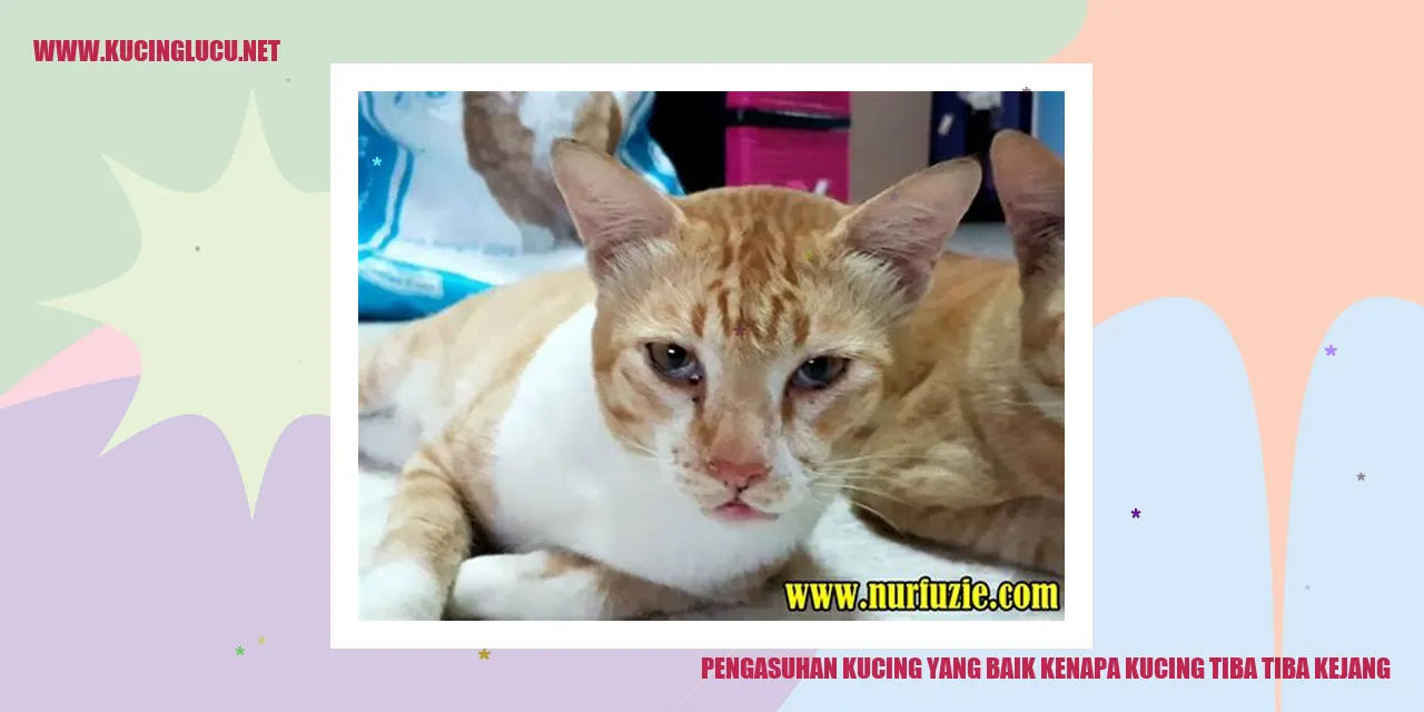 Foto Kucing yang Mengalami Kejang