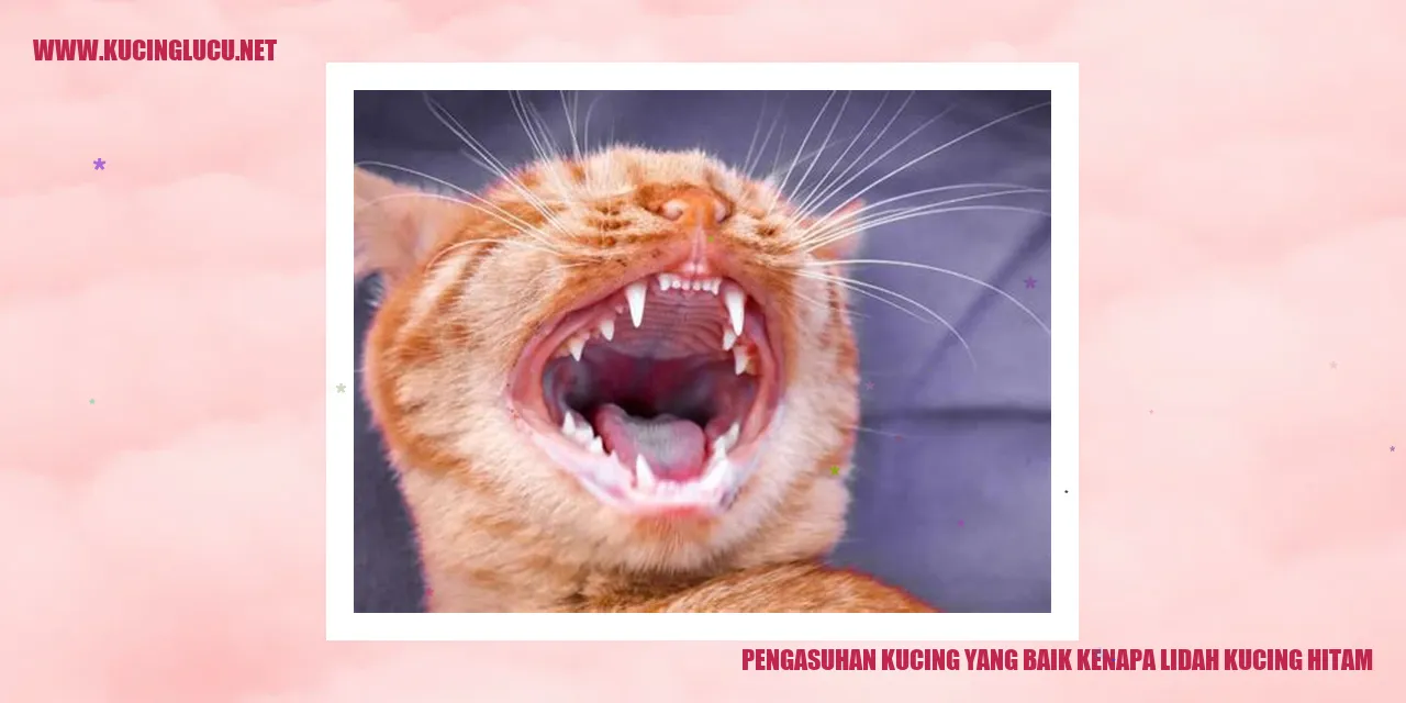 kucing dengan lidah hitam