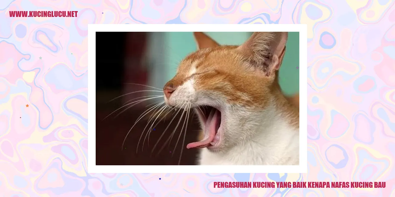 Kucing yang Menggemaskan
