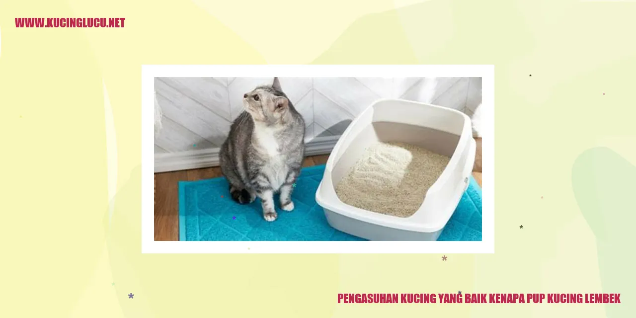 Kucing Menggemaskan