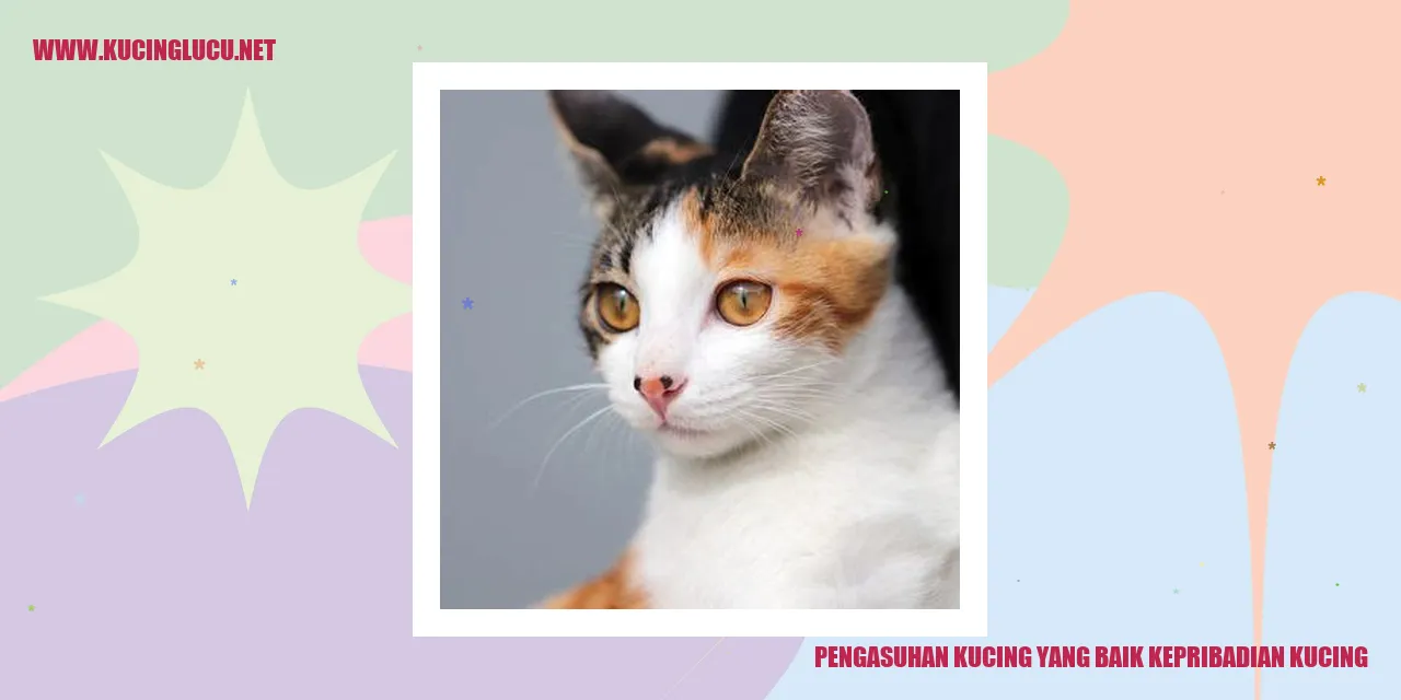 Kucing Bahagia dengan Pengasuhan yang Baik