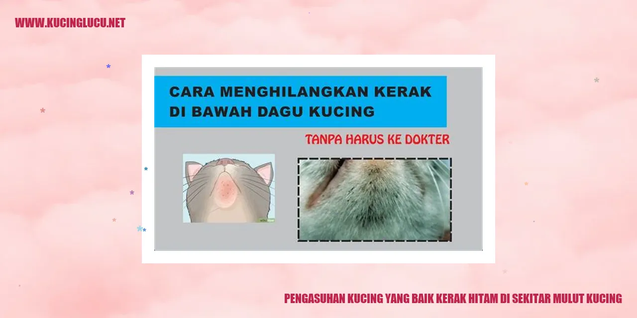 Gambar kucing dengan kerak hitam di sekitar mulut