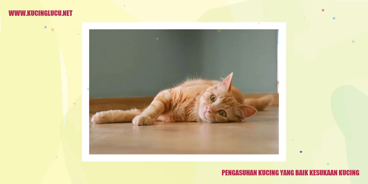 Gambar Kucing