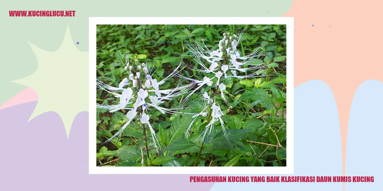 Gambar Kucing dengan daun kumis