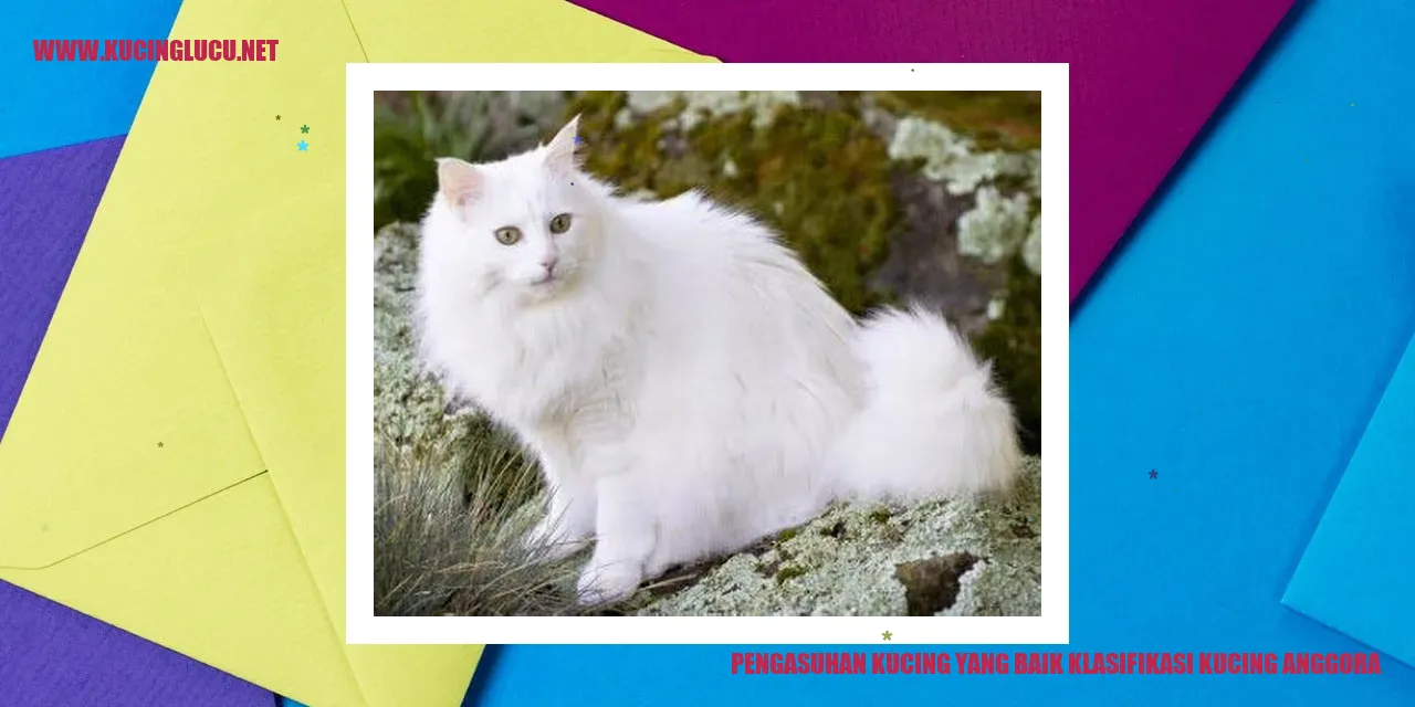 Kucing Anggora