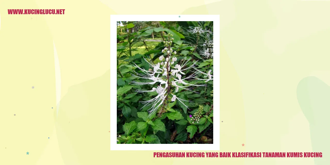 Pengasuhan Kucing yang Baik