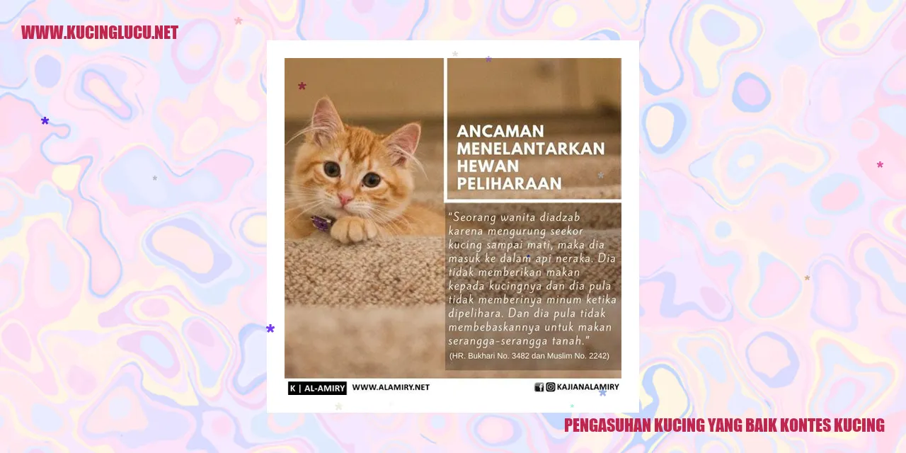 Gambar kucing di kontes kucing