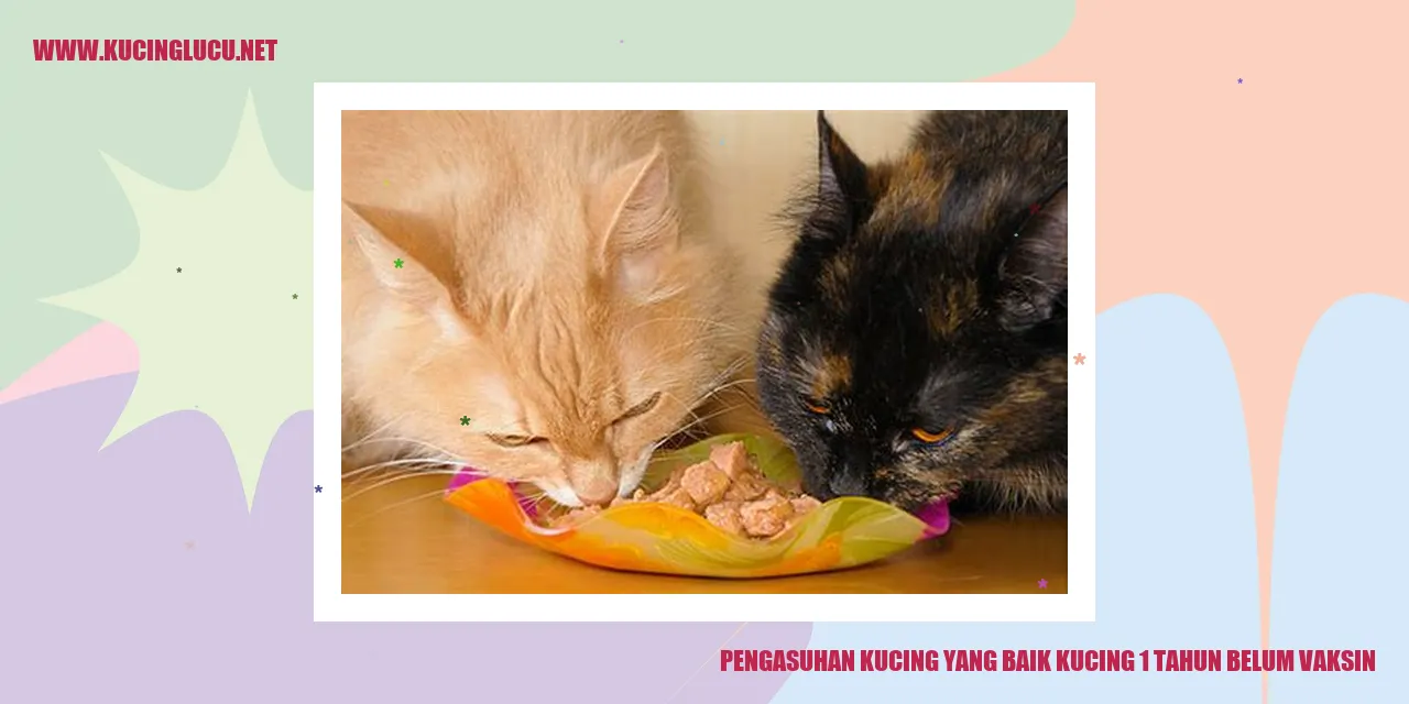 Gambar Kucing yang Sehat dan Bahagia
