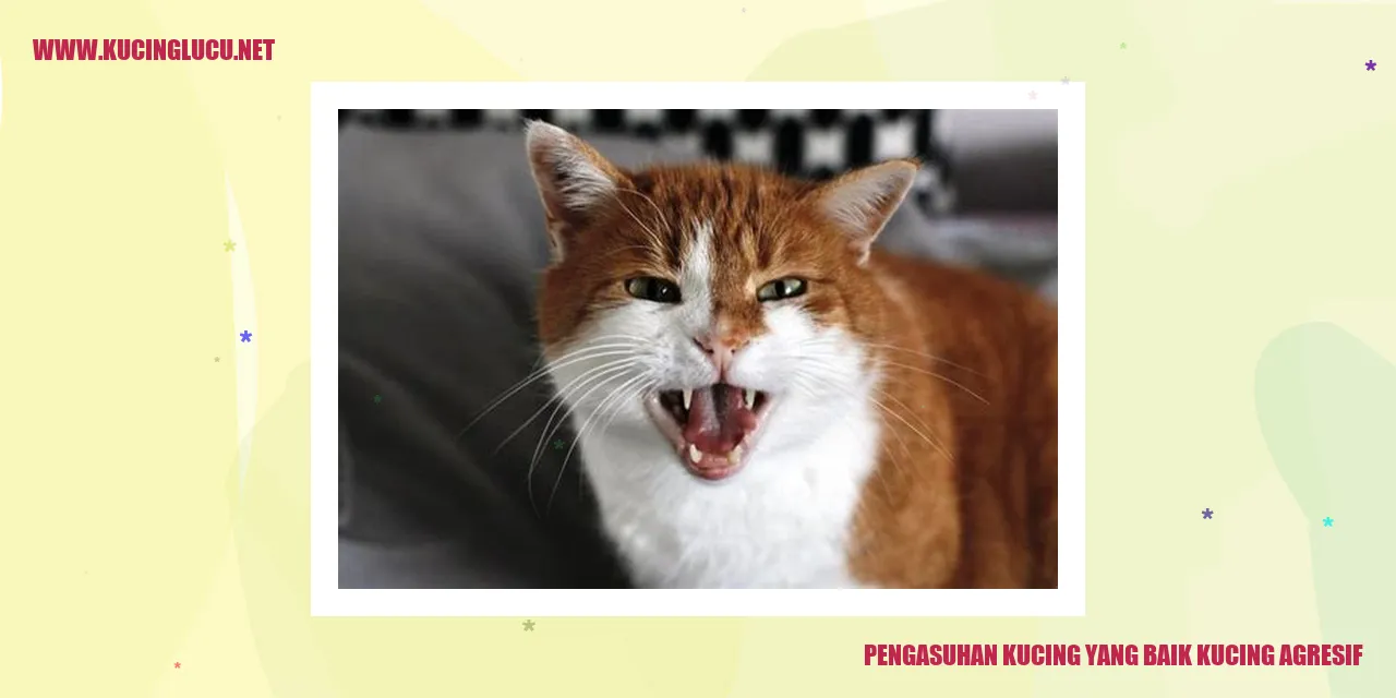 Gambar Kucing Agresif