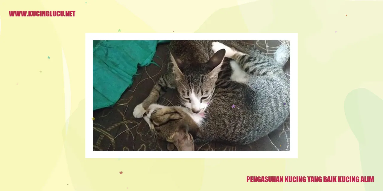 Kucing yang Santun