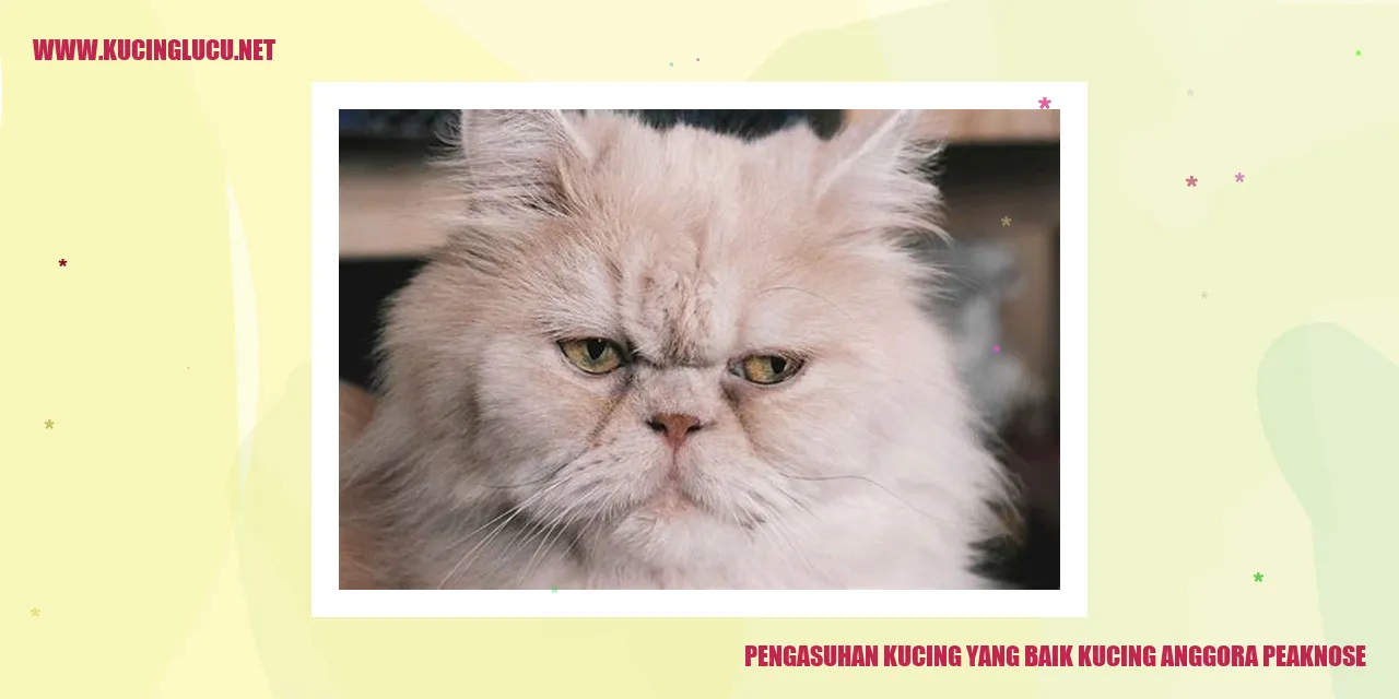 Pengasuhan Kucing yang Baik