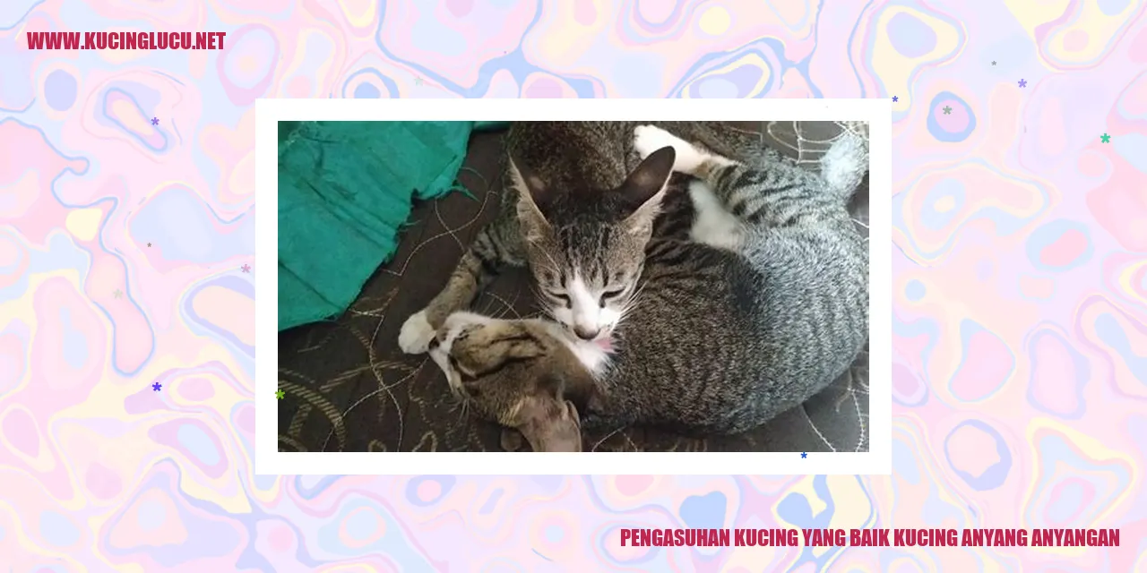 Kucing anyang-anyangan