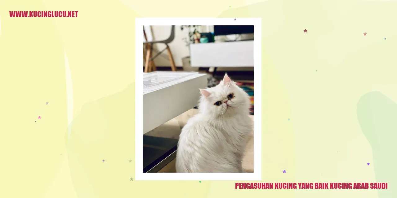Kucing Arab Saudi yang Bahagia