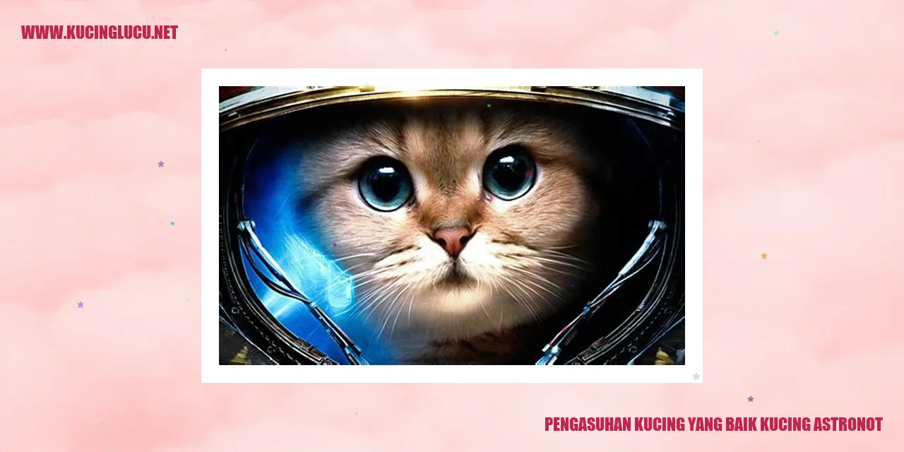 Gambar Kucing Astronot