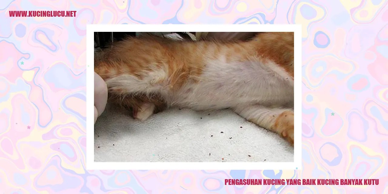 Gambar Kucing Terinfeksi Kutu