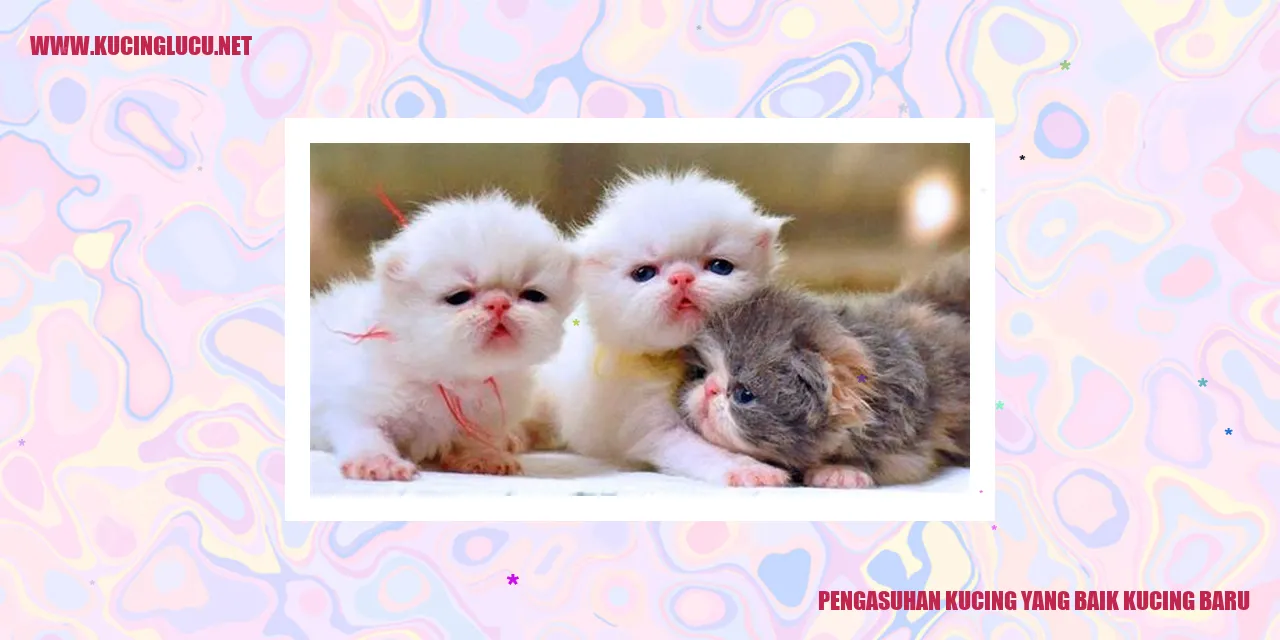 Pengasuhan Kucing yang Baik