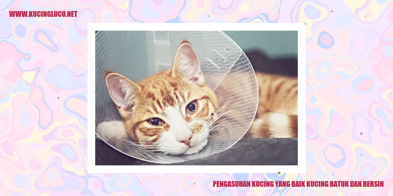 Kucing Batuk dan Bersin
