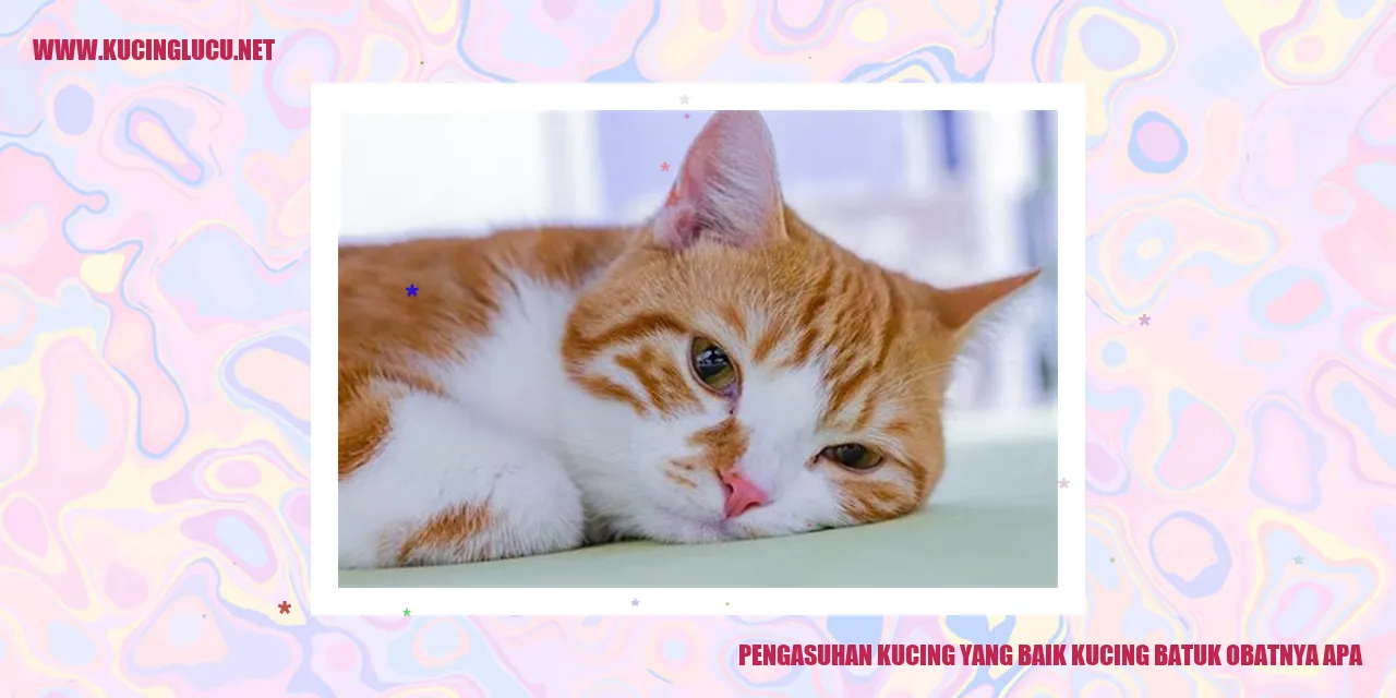 Gambar Kucing