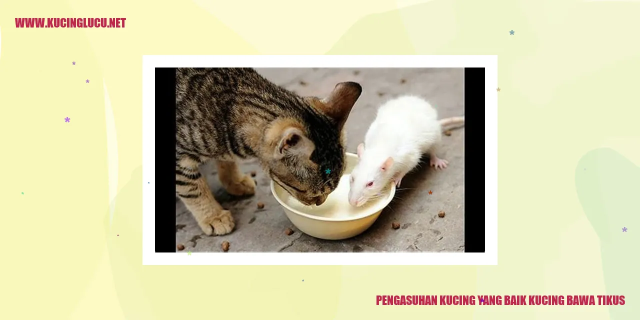 kucing bawa tikus