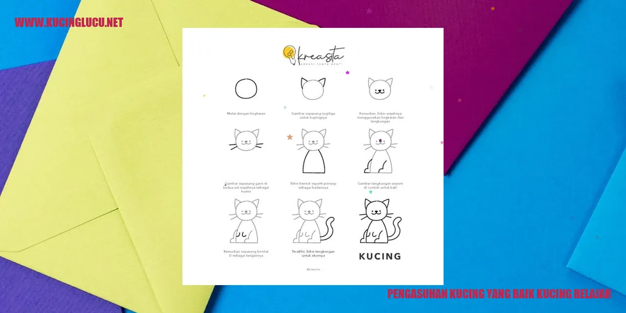 Gambar kucing belajar