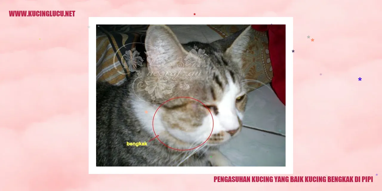 Kucing yang Baik