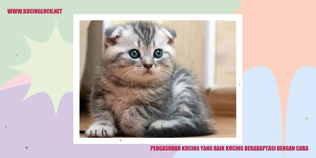 Kucing Beradaptasi dengan Cara