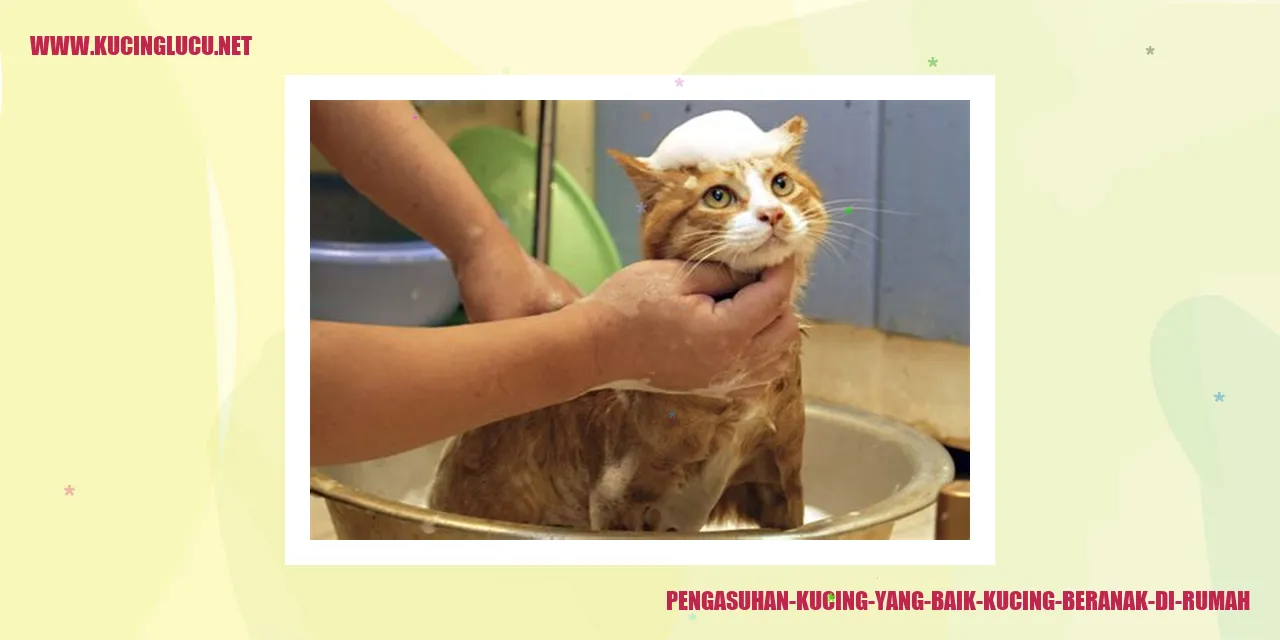 Pengasuhan Kucing yang Baik saat Kucing Beranak di Rumah